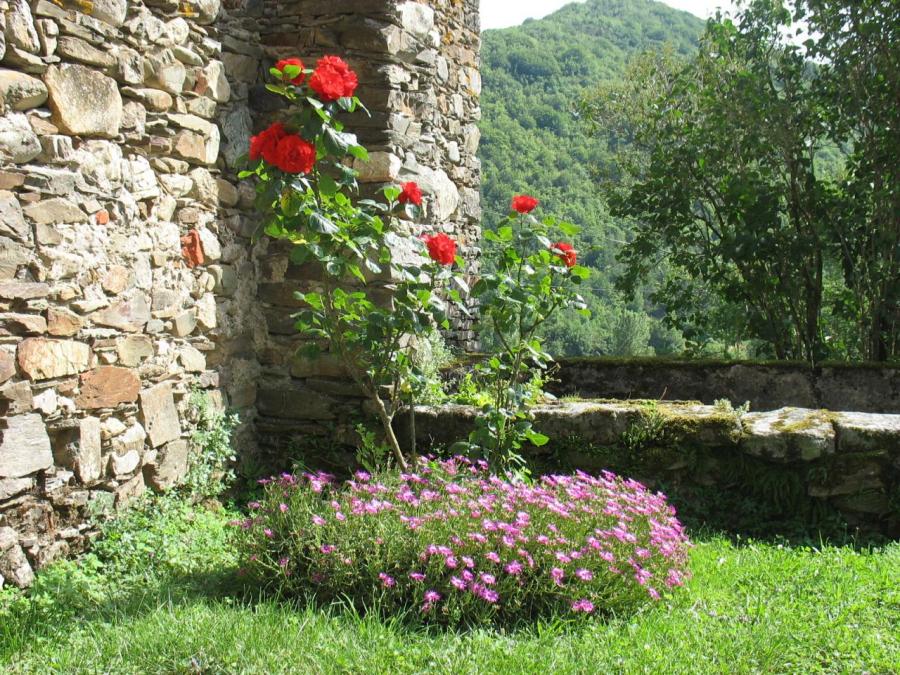 Massif fleuri à Laroque (16)