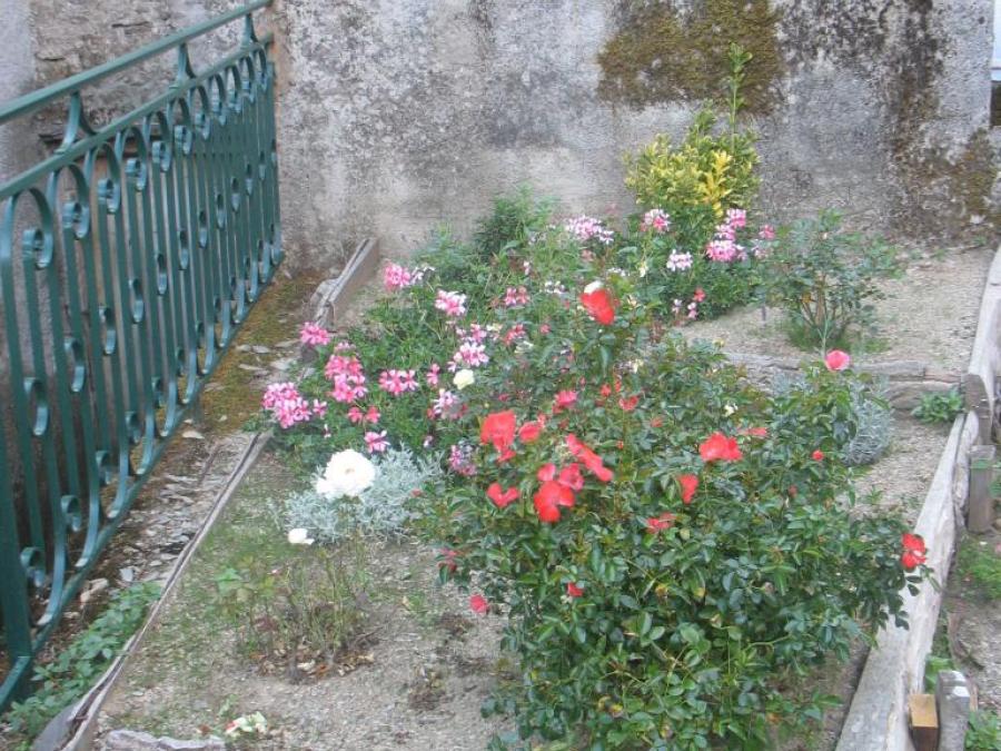 Massif fleuri à Laroque (9)