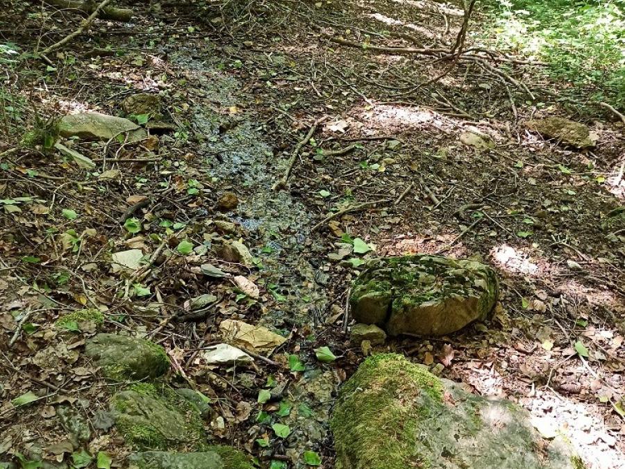 Paysages à voir en randonnée pédestre ou VTT à Fayet (3)