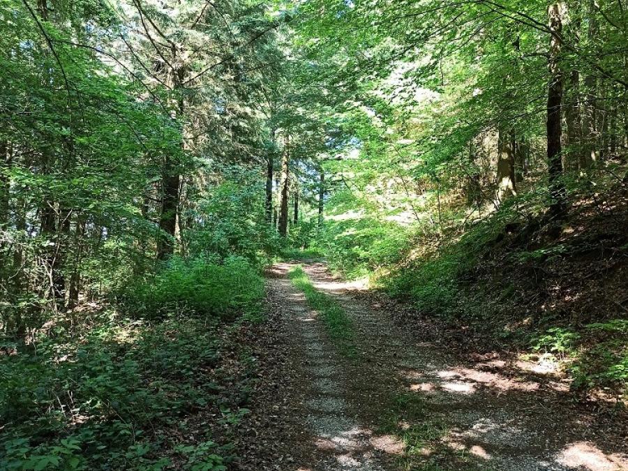 Paysages à voir en randonnée pédestre ou VTT à Fayet (5)