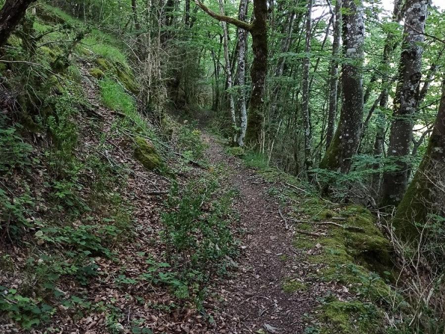 Paysages à voir en randonnée pédestre ou VTT à Fayet (6)