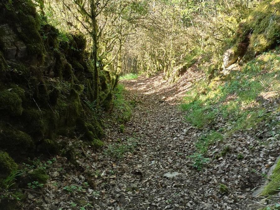 Paysages à voir en randonnée pédestre ou VTT à Fayet (7)