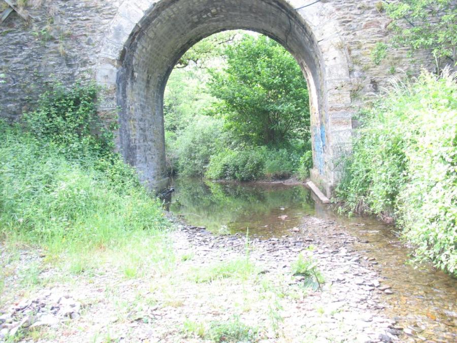 Le ruisseau des crouzets, affluent de la Nuéjouls à Laroque (5)