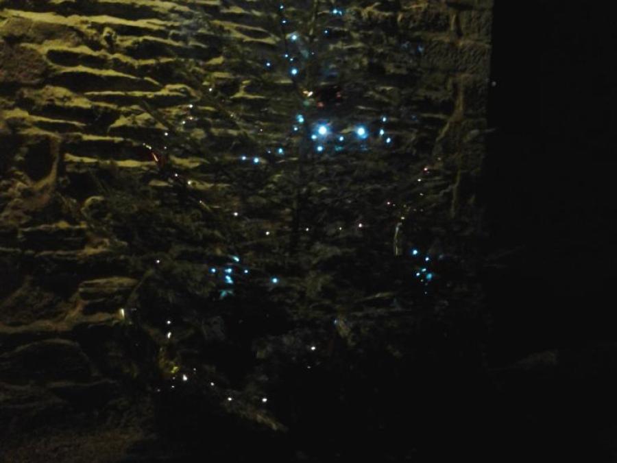 Sapin de Noêl en 2014 à Laroque (90)