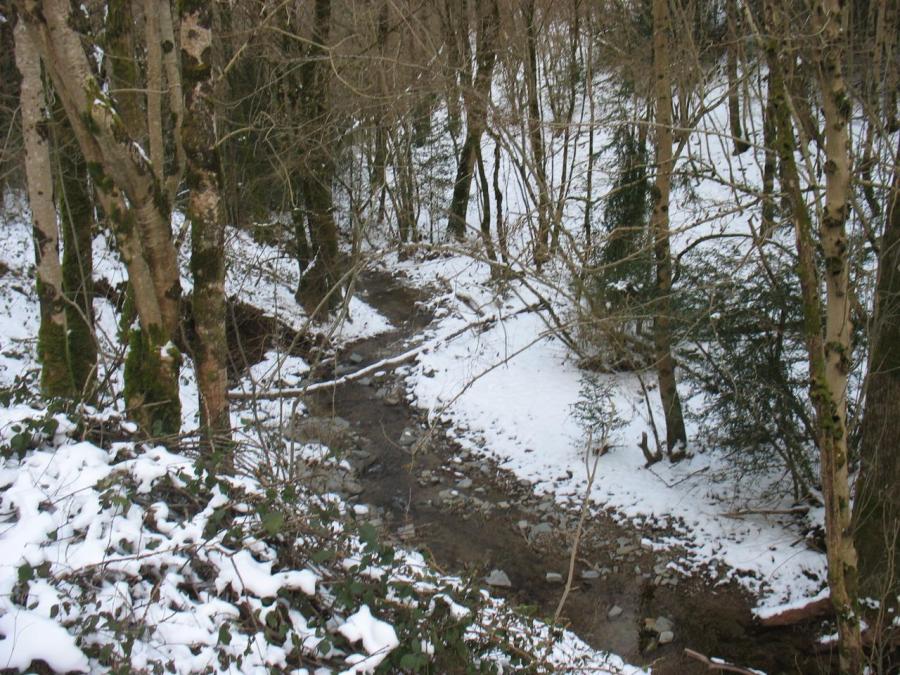 Un ruisseau à Fayet (10)
