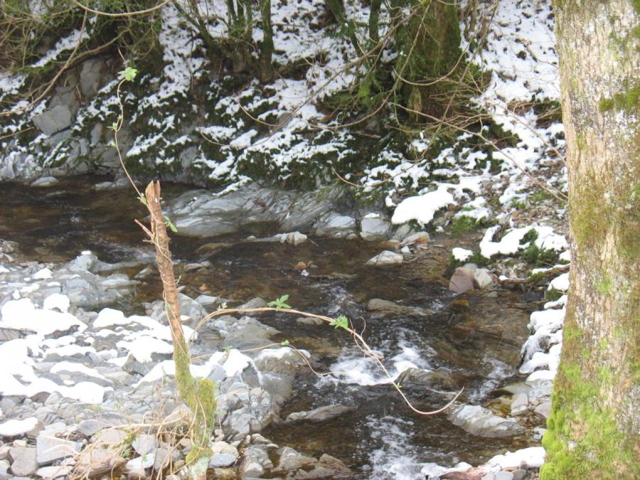 Un ruisseau à Fayet (11)