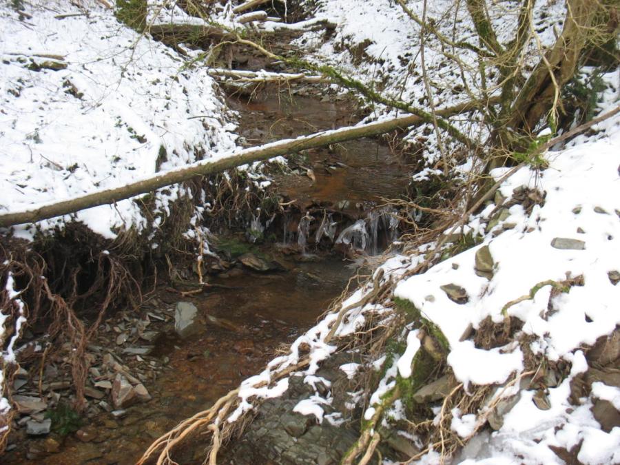 Un ruisseau à Fayet (8)