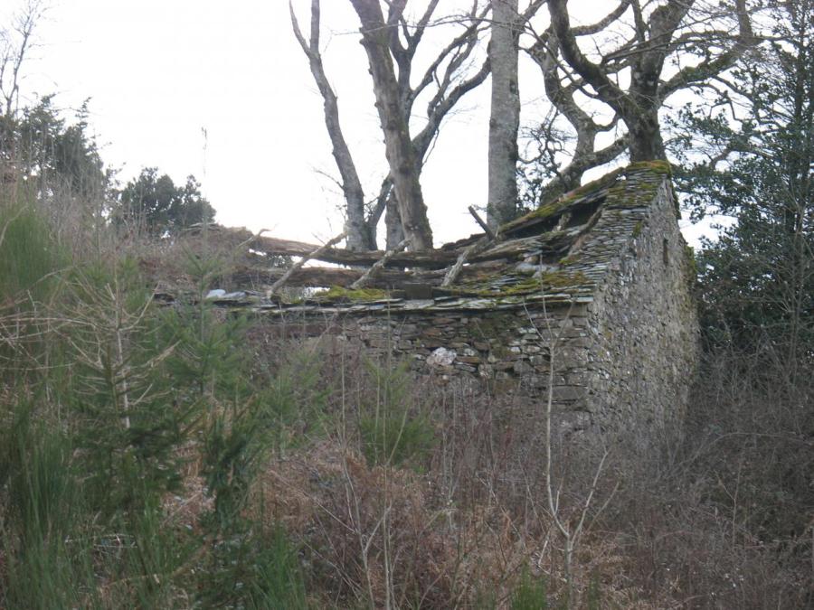 Vestige en forêt à Fayet (15)